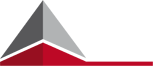 logo Delfi Consulting